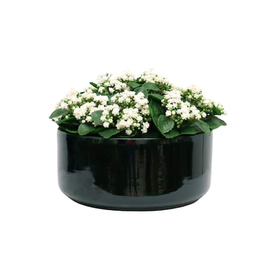House of Silk Flowers 21" Faux White Kalanchoe in Black Ceramic Bowl Arrangement